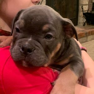 Meet your Posher, Reese